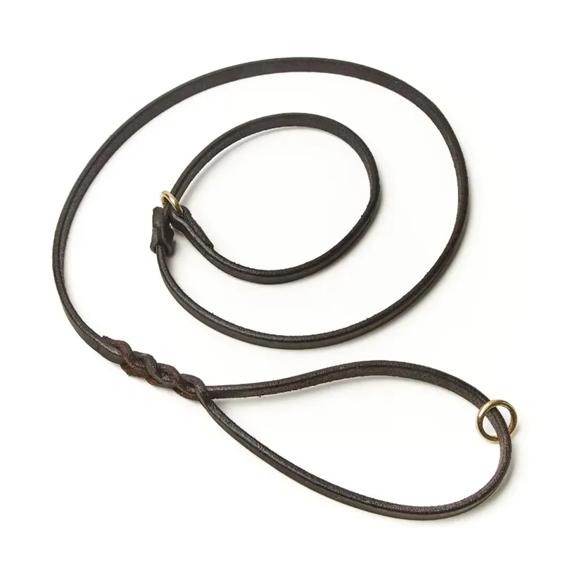 Shires Digby and Fox Braided Slip Lead - Brown
